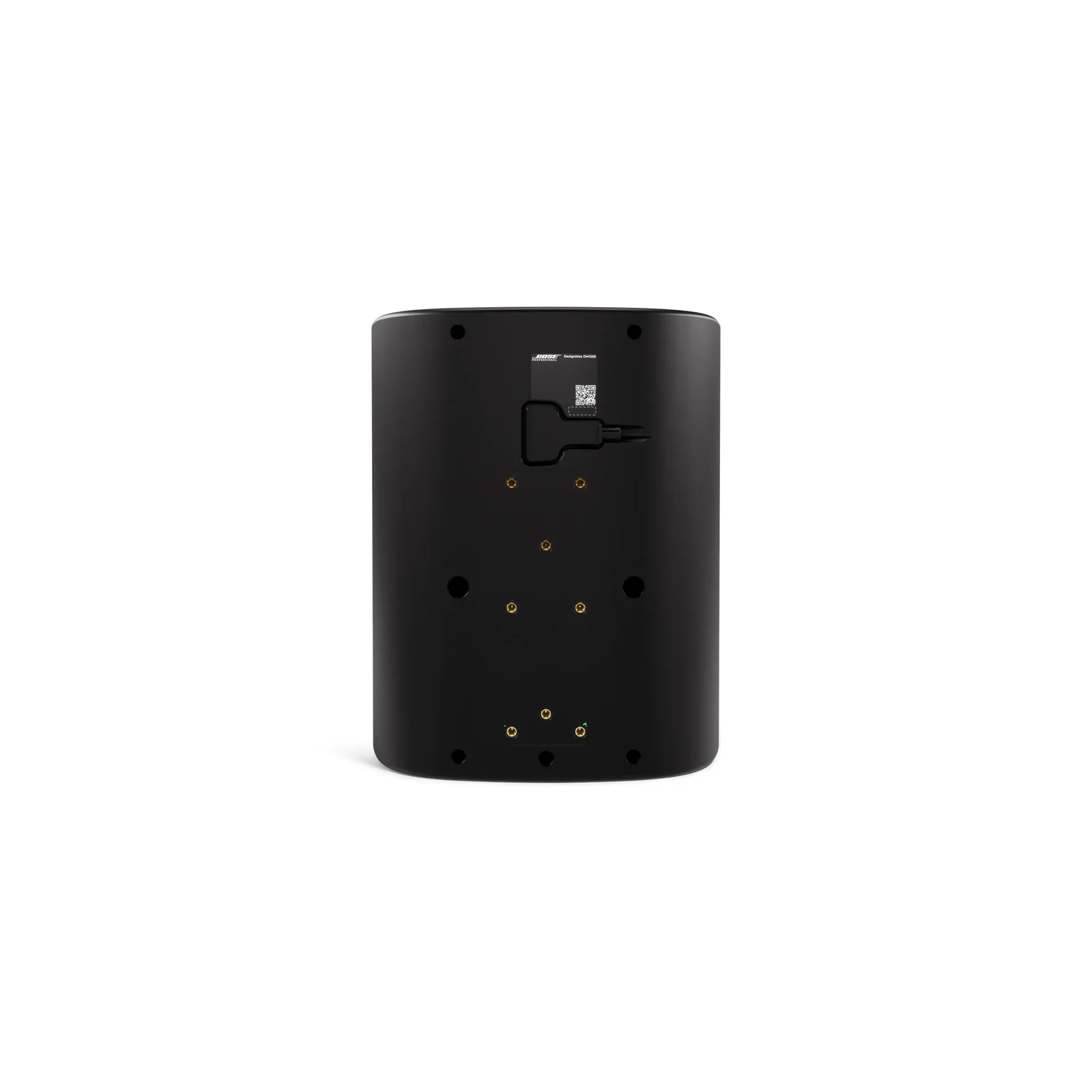 Bose DM12SE — rear panel